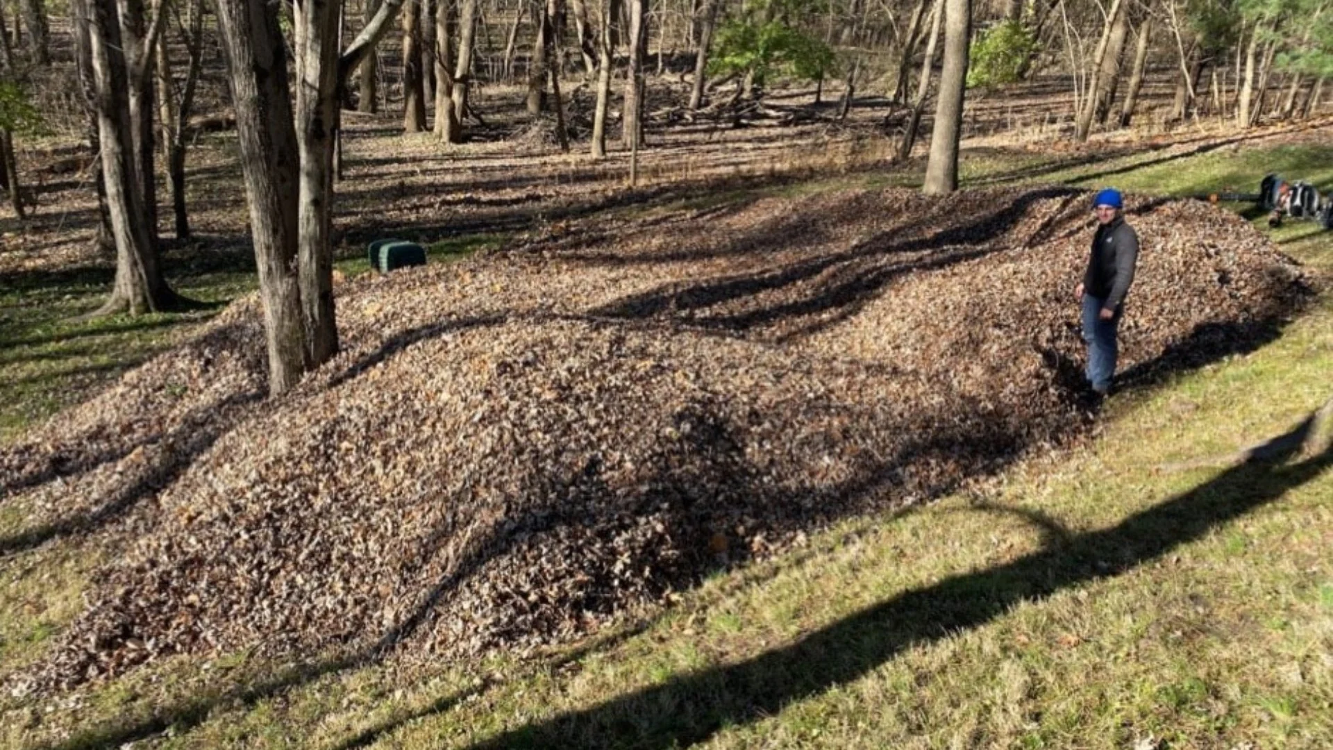 Leaf Piles: Is It Really That Bad to Leave Them on Your Lawn?
