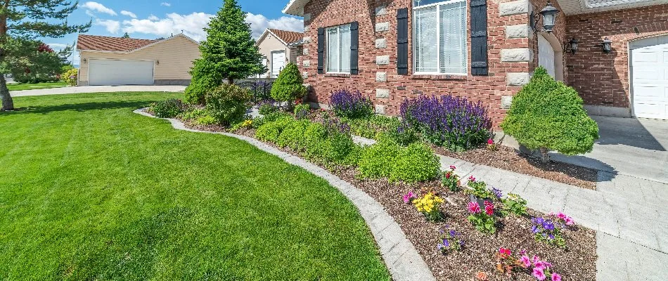 Landscape beds with mulch and colorful plants in St. Louis, MO.