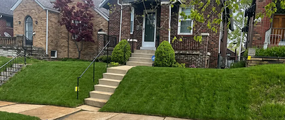 Newly installed sod in front of a house in St. Charles, MO.