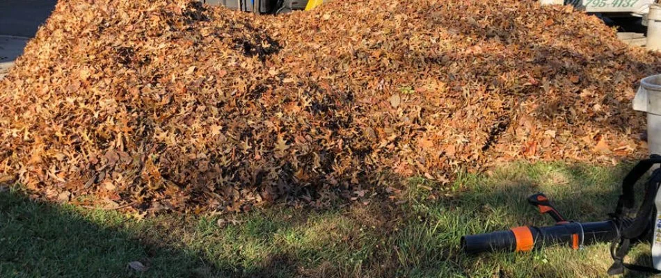 Pile of leaves on a property in St. Louis, MO.