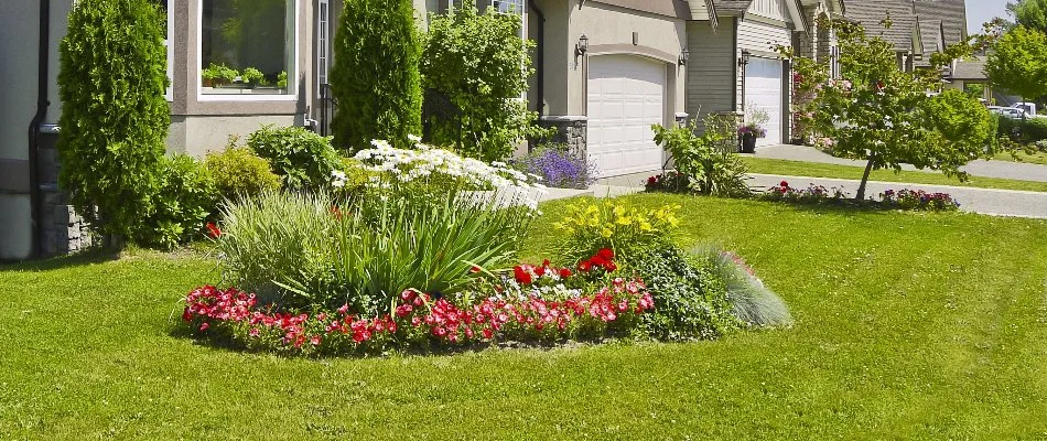 Plants and flowers on a green lawn in Wentzville, MO.
